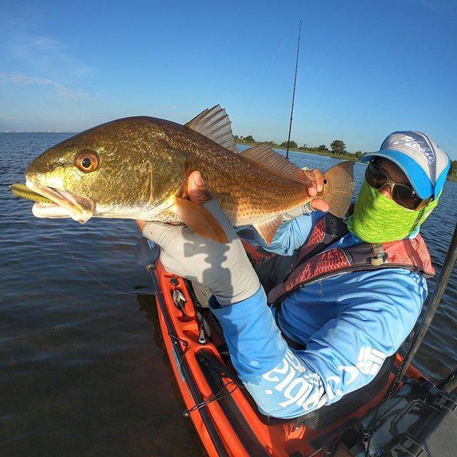 OutsidetheSlot's tweet photo. Mouth full of @mirrolure_official 
17MR don’t leave home without it!
#HobieFishing https://t.co/RA9lt5K2Nq https://t.co/QWGbhJFlbL