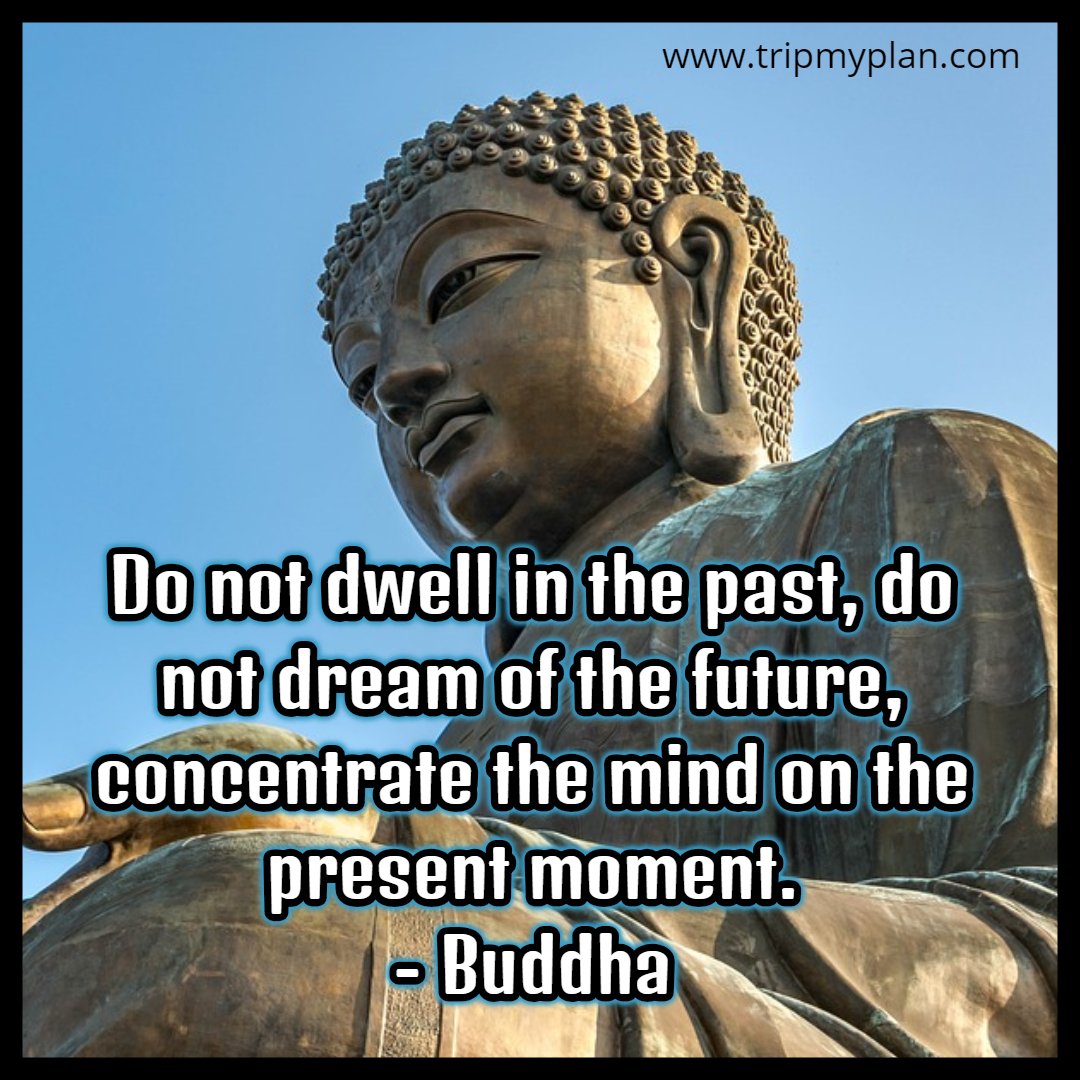 Tripmyplan Com Do Not Dwell In The Past Do Not Dream Of The Future Concentrate The Mind On The Present Moment Buddha Tripmyplan Quote Buddhism Buddha Inspirationalquotes Motivational Fridayfeeling Quotes