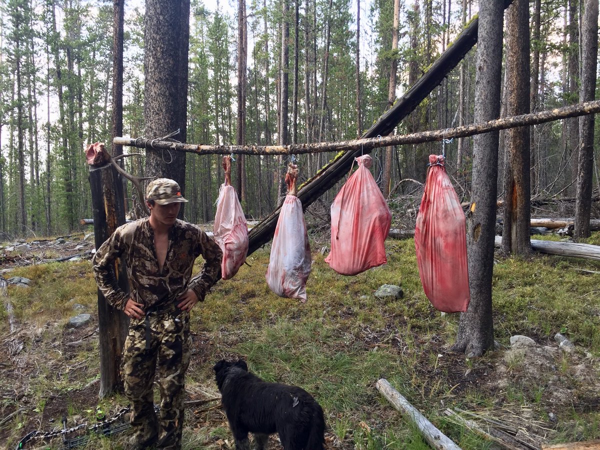 behindthetines's tweet photo. If the meat poll isn’t full either is the freezer! 

@firstlitewool @Backcountry_H_A @S6archery https://t.co/dGV1ipEEjJ