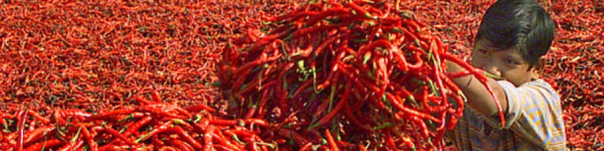 Listly India tweet media