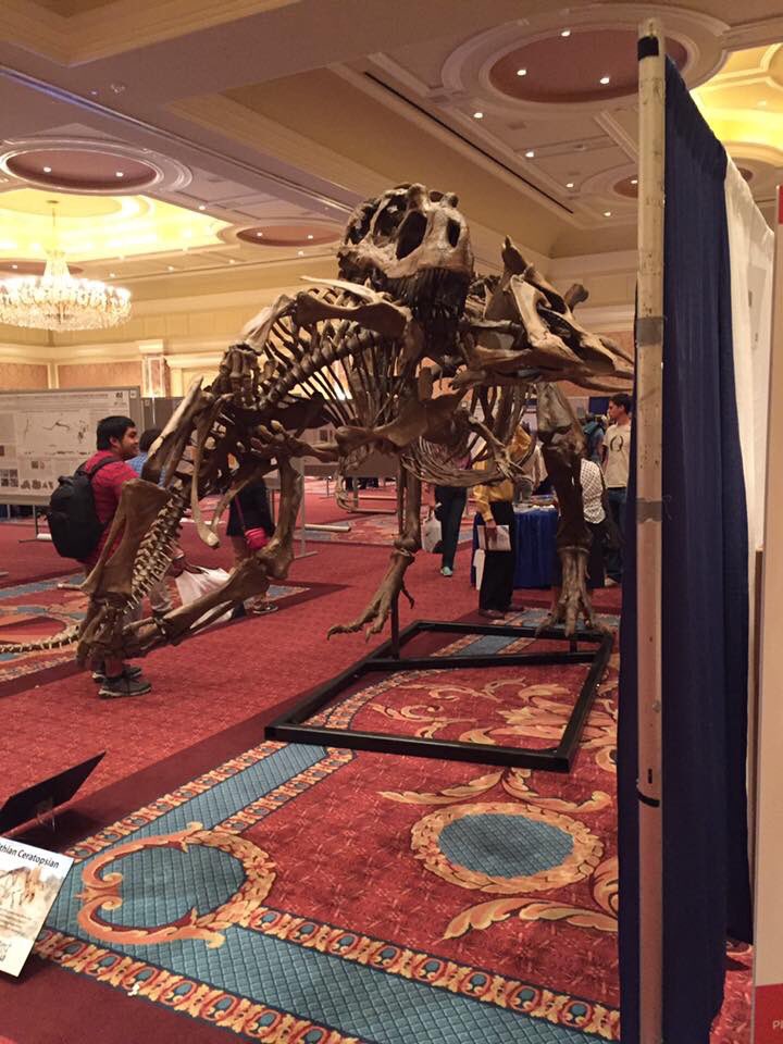 EJR_Paleo_MSc's tweet photo. Another memory from #SVP2016 in Utah for #FossilFriday. Daspletosaurus carrying Avaceratops in its jaws. You have to admire the strength of the neck and jaw muscles of #Daspletosaurus being able to carry such a big animal. #tyrannosaurs #ceratopsians https://t.co/qij5cmVPzz