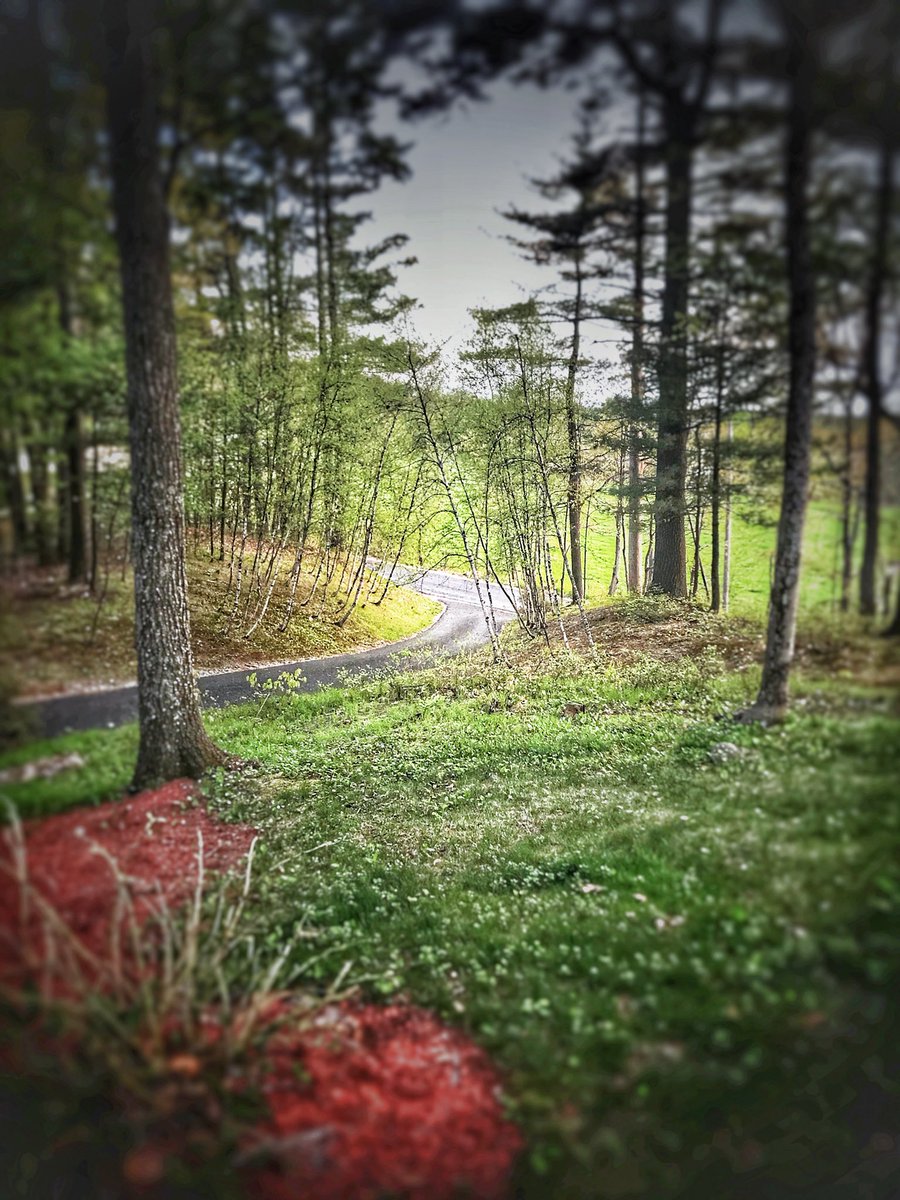 JessicaDReady's tweet image. 