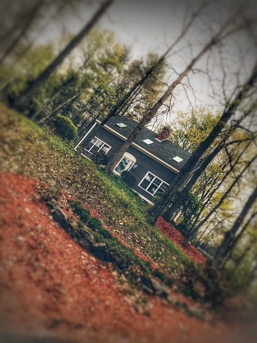 JessicaDReady's tweet image. 