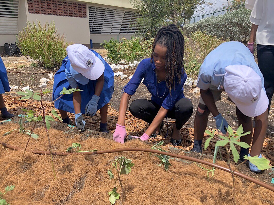 slowfoodbb's tweet photo. We installed our 17th Educational School Garden at Gordon Walters Primary for an #EarthDay Celebration with support from the US Embassy in Barbados & blocks donated by Ready Mix 🐌
#slowfood #slowfoodbb #barbados #supportlocal #schoolgardens #agriculture #education https://t.co/kOmYsZEorL
