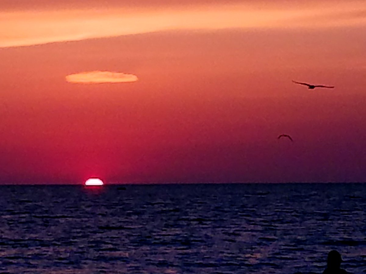 schweba's tweet image. Cool sunset with a halo, another  heavenly Florida sunset.