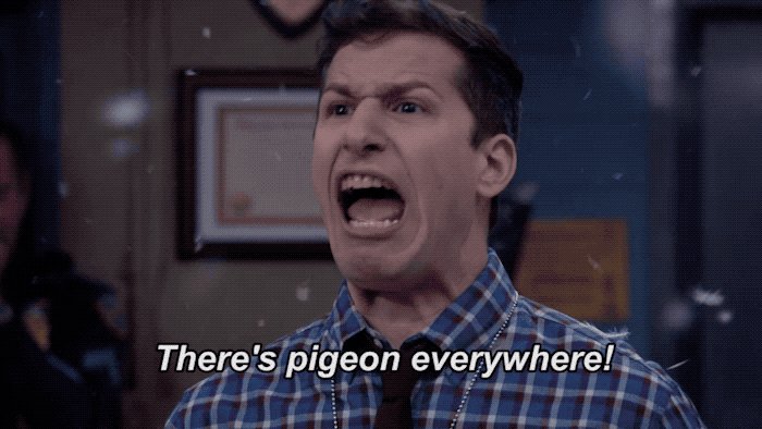 brooklyn99's tweet image. #NoContext #Brooklyn99