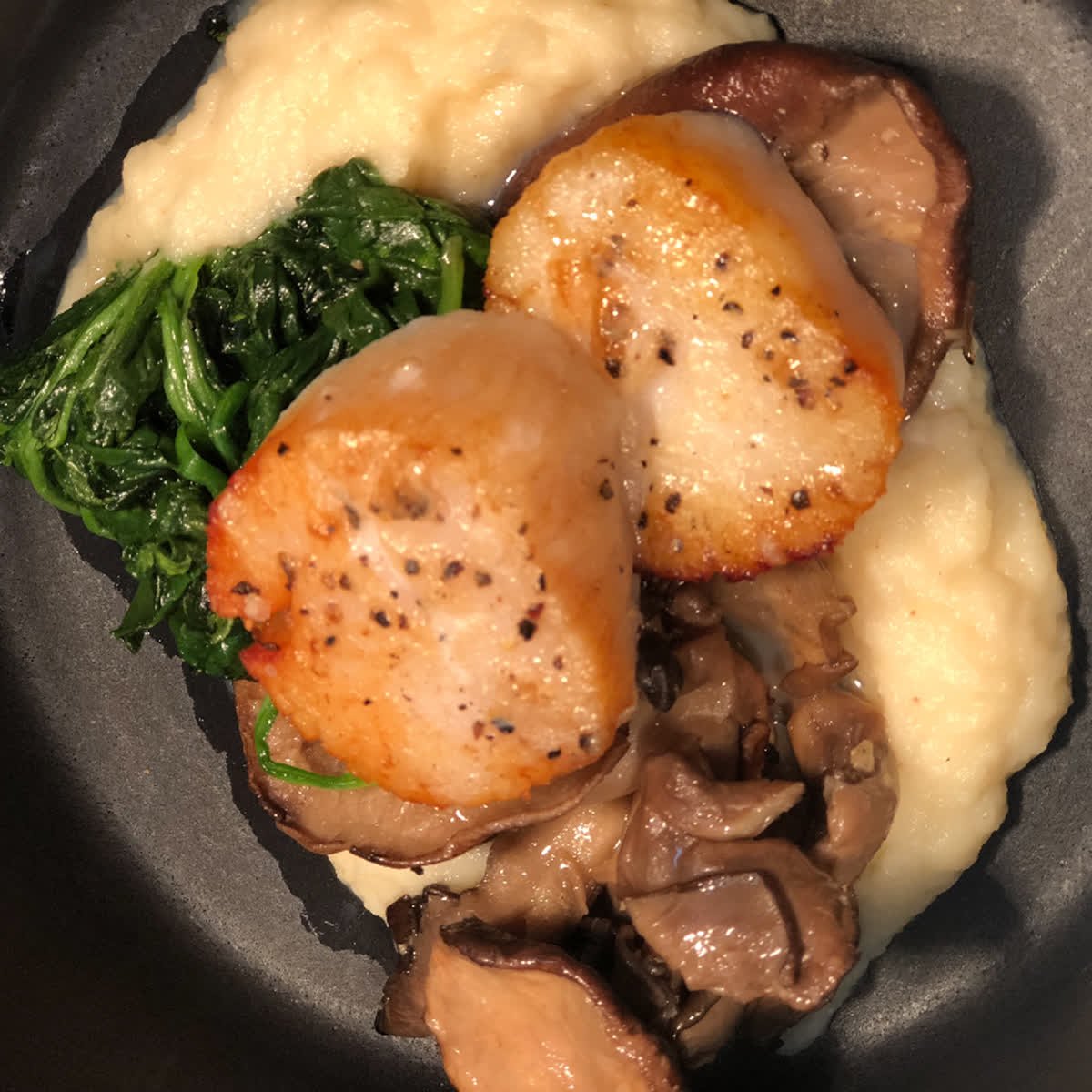 Barton_G_LA's tweet photo. Scallops cooked to perfection!
#bartong #bartongla #foodie #scallops #seafood #foodporn #laEats #la #nomnom #foodPorn #delicious https://t.co/Wga2fFMQtk