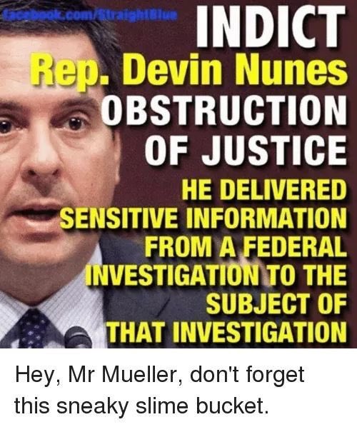 Terryg1979's tweet image. #RemoveNunesNow #RemoveRyanNow #NunesMustGo