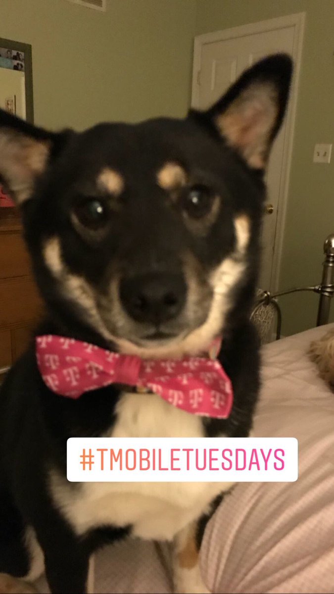 Jake Urso tweet media