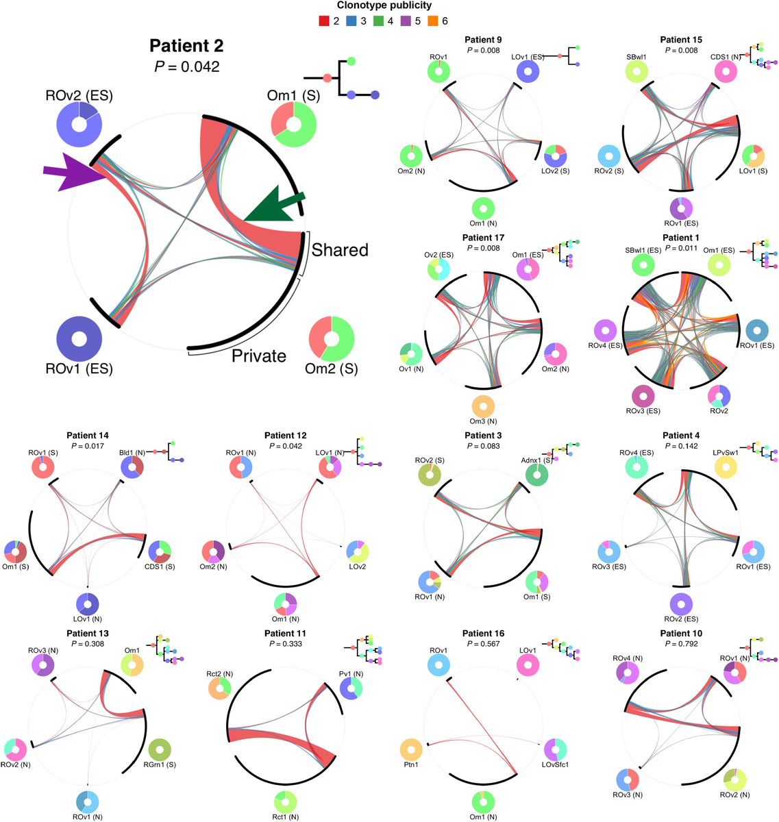 mmw_lmw's tweet photo. Immune #ClonalDynamics shapes #Malignant Cell Evolutionary Trajectories: in Ovarian cancer | SohrabShah @UBC @CellCellPress https://t.co/FdxinA9CQ5 https://t.co/hjBKu8pOpw