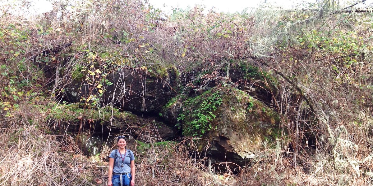 Service snapshot: Geologist Lina Ma during field checks for an in-progress landslide hazard and risk study of Eugene and Springfield. #ORService #PSRW #GeologyRocks
