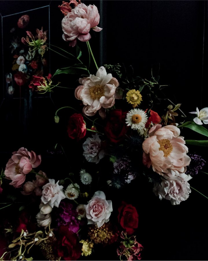 Mr Fresh Flowers (mrfreshflower1) Twitter