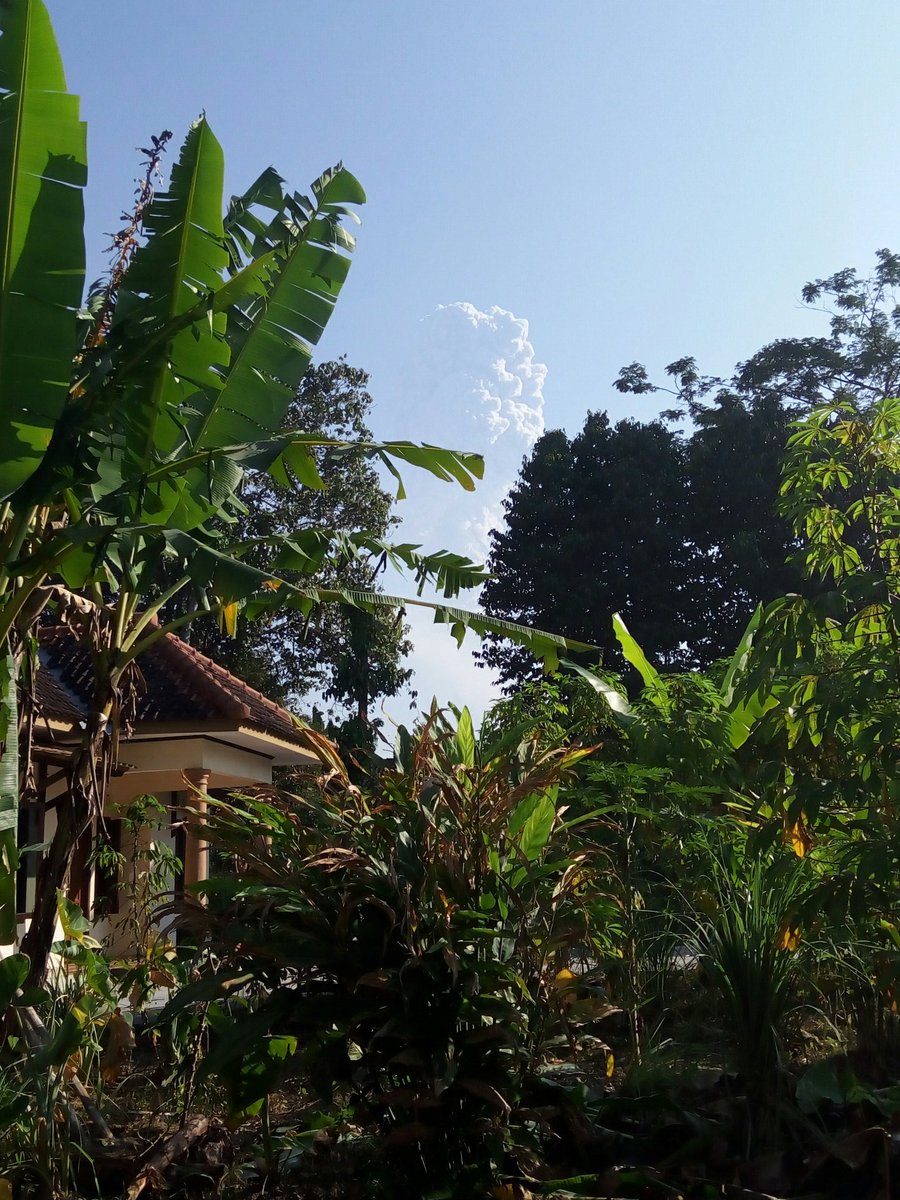 jalin_m9's tweet image. #merapi dari Widodomartani #jalinmerapi