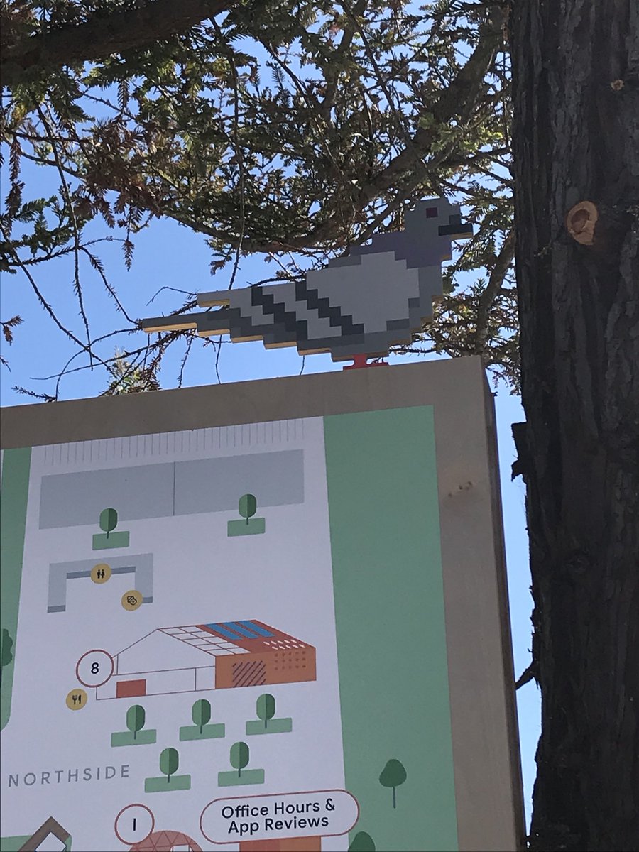fangedkat's tweet photo. Third best part of Google I/O? Gotta be the pigeons. #googleio2018 https://t.co/Bm4kvc7Qx5