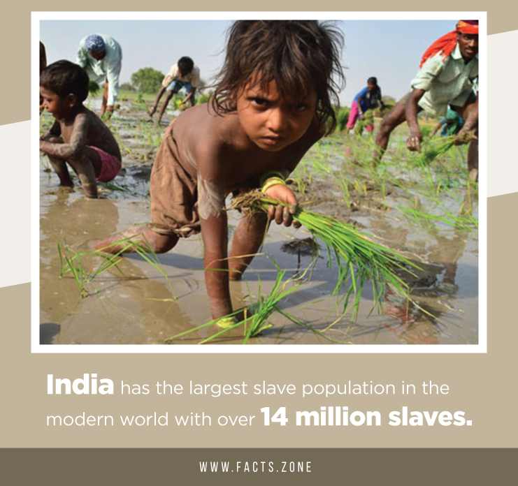 EFG_Support's tweet photo. #rbs fund #modernslavery £1 per hour #India https://t.co/FK6Lvua2cT #FundOurNHS $5BILLION #usa fine https://t.co/EnR1YxDKZ2 #newyork #CriminalJustice #StrongerTogether #Banking #InfinityWarTH https://t.co/N3Rvwtl2Sh #Holocaust @narendramodi #bbcqt https://t.co/LESBOMyS33