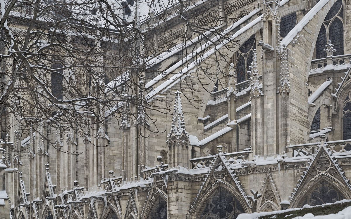 davidphenry's tweet photo. Flying buttresses on the south-western façade of Notre-Dame Cathedral in a snowstorm, seen from Square Jean XXIII. #Flying #Flyingbuttresses #buttresses #façade #NotreDame #Cathedral #snowstorm #SquareJeanXXIII #snow #Paris @VIParis #Paris4 https://t.co/meVJFD6Aoz