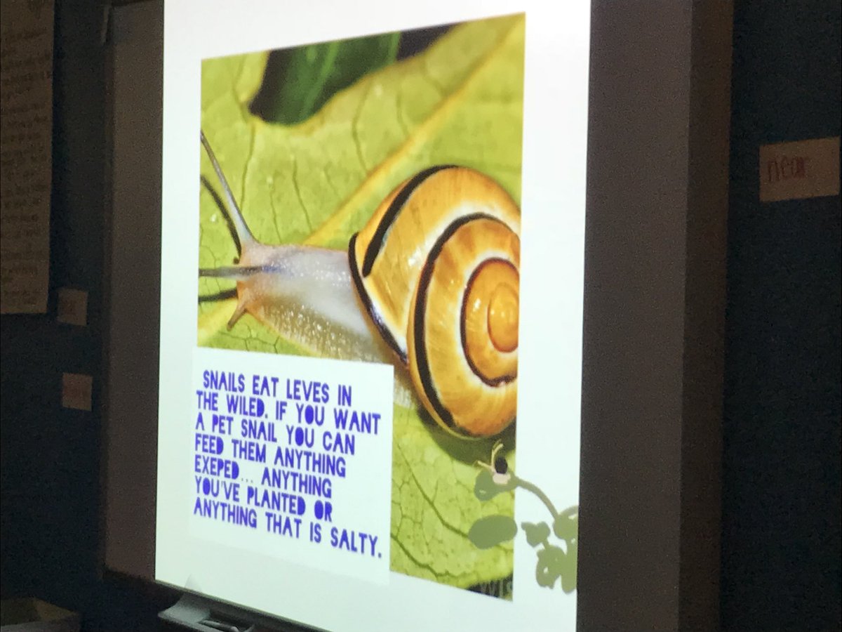 howdymrsshaffer's tweet image. Teach the teacher day 3! We learned how to care for a snail! #DWEeagles