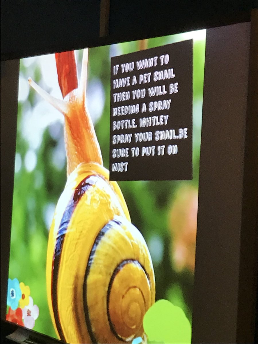 howdymrsshaffer's tweet image. Teach the teacher day 3! We learned how to care for a snail! #DWEeagles