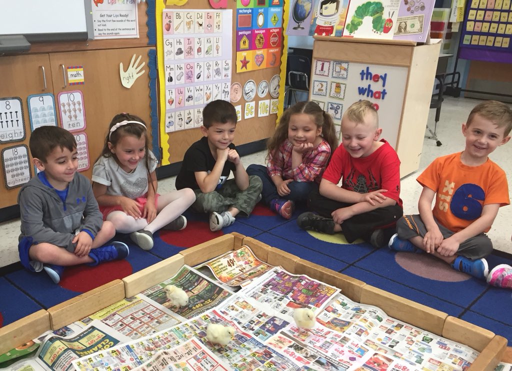 cn6rob's tweet photo. Taking our newly hatched chicks out for some play time!@ForestLakeWsd https://t.co/lbFsDe1y3z