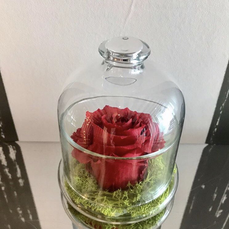 InfiniteFleur's tweet photo. Mothers, wife's, sisters, friends, co-workers... How many amazing women do you know? #InfiniteFleur #Mom #MothersDay #LuxuryFlowers #Goals #Flowers #Love #RosesThatLastAYear #USADelivery #Flowerstagram #PreservedRoses #FlowerDelivery https://t.co/ZPIUi5NaZv