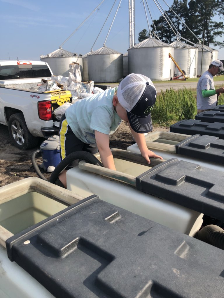 blacklandboyd's tweet image. 3 bean plots 1 day, lots of miles and several counties, no time for pictures except when your  best help shows up! Thankful for all the farmers who help with plots!! #plot18 #Pioneer #soybeans