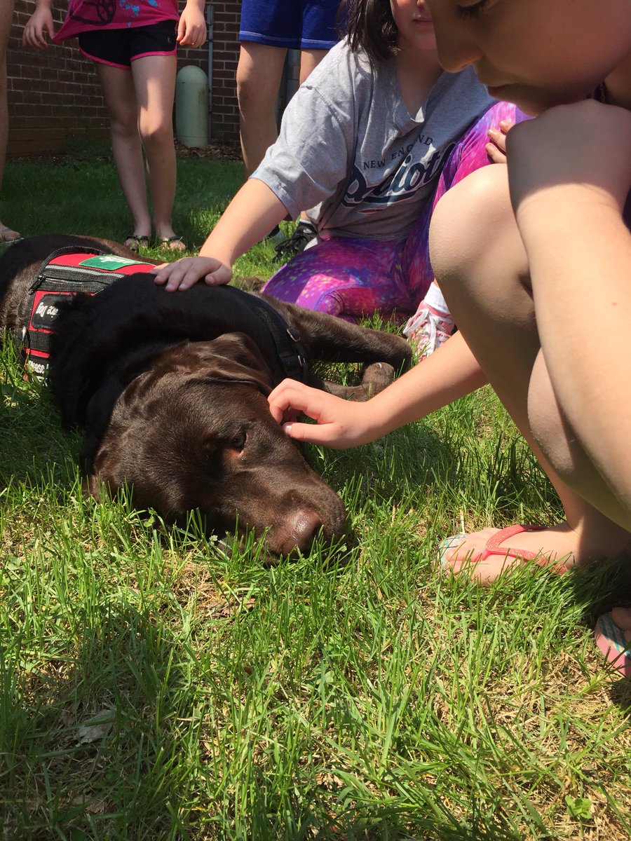 BrodeyNES's tweet photo. This is the life 😊❤️ #WeAreNorthen https://t.co/pJSGphpPbj