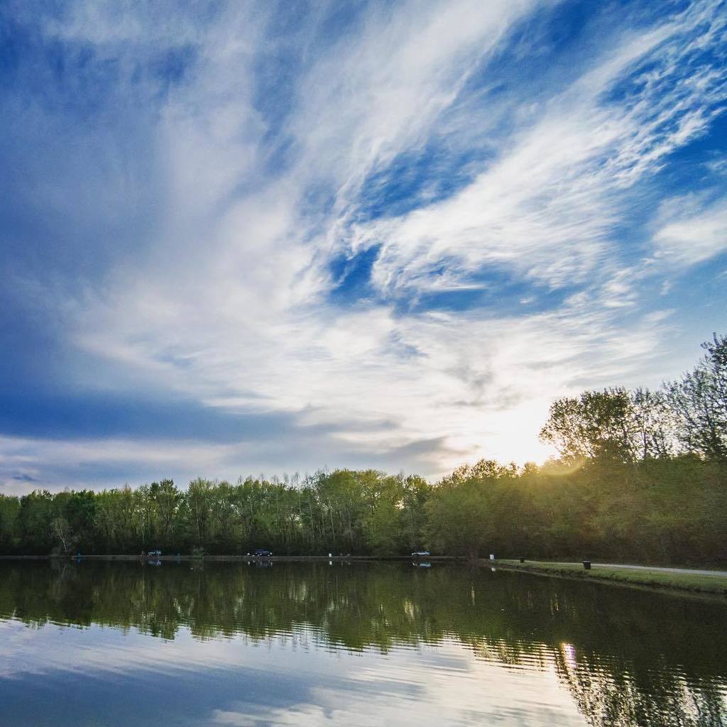 RVtoFreedom's tweet photo. Our current campground has a fishing pond attached. Although, you won't find us down there with poles, it makes a nice spot to walk the dogs. https://t.co/biK0uKVF14 https://t.co/gu13P4hTgG