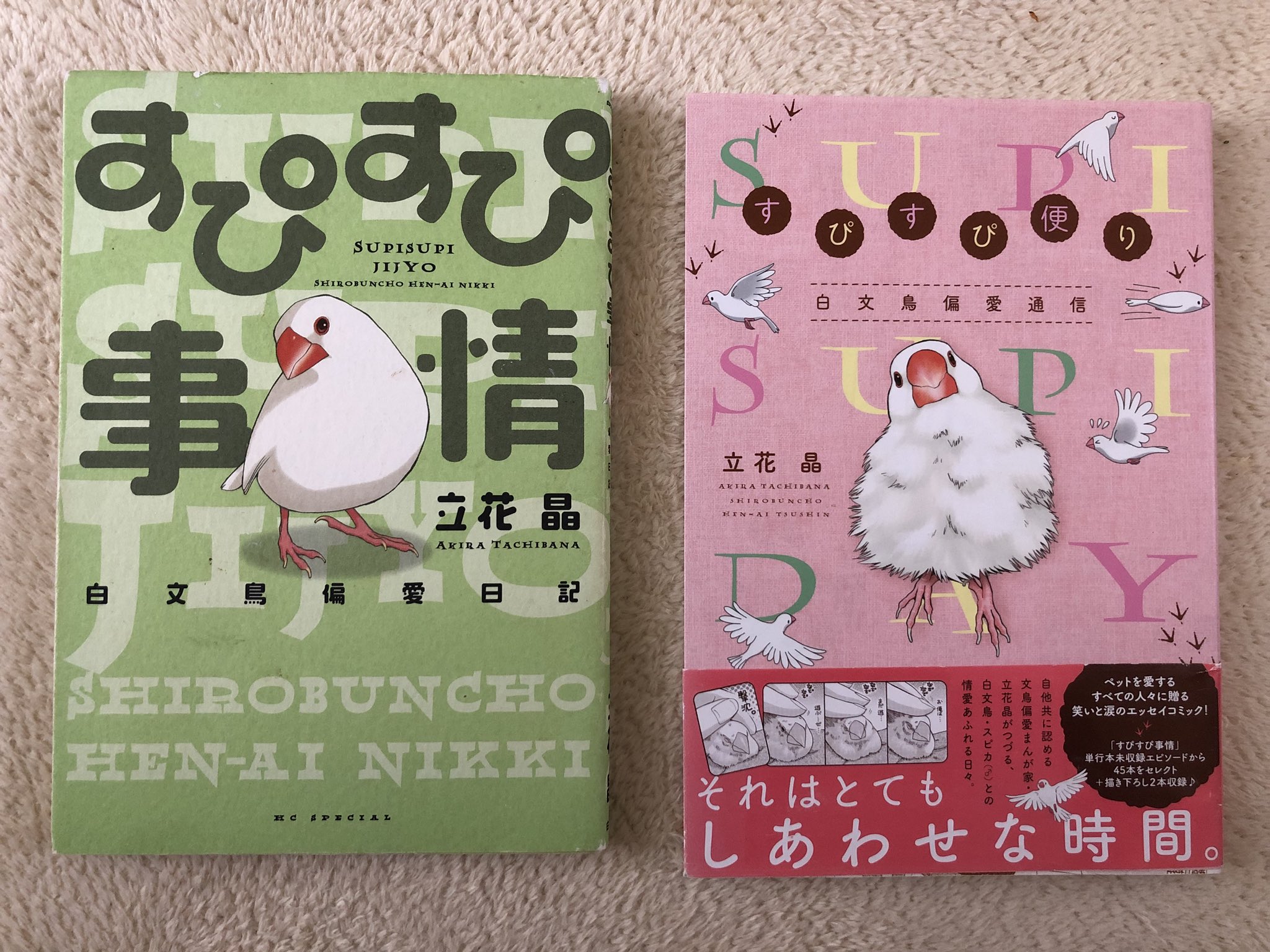 すぴすぴ事情 Twitter Search Twitter