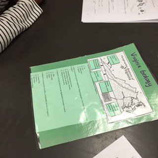 WashElliott's tweet photo. Using stations to help my students review for the SOL.   #BetheU #lcbirdprincipal #oneccps https://t.co/wXhYFab30W