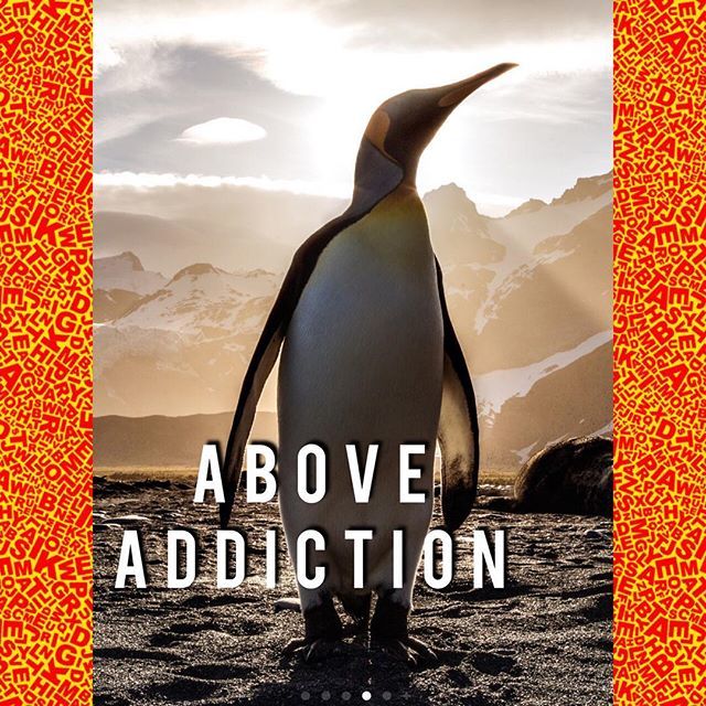 aboveaddictions's tweet image. Wise Af. #beataddiction #sober #lifeinmoderation ift.tt/2KRcExW