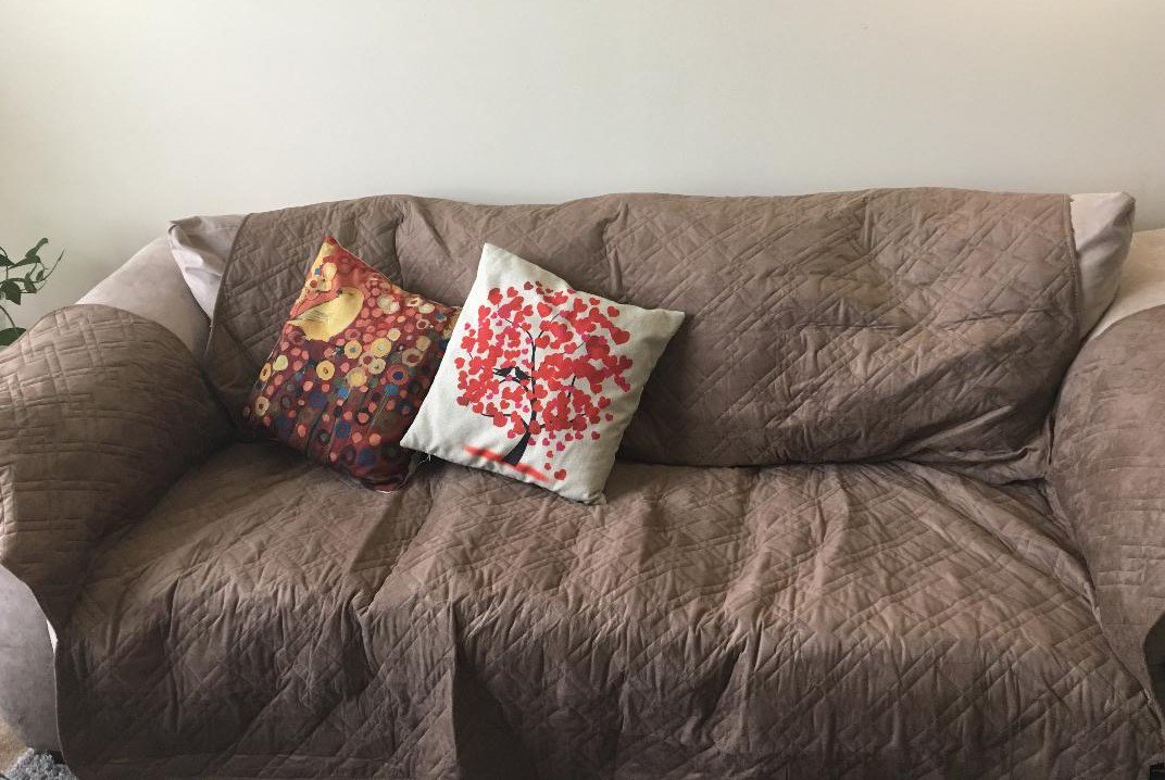 swagwin123's tweet image. Tried #sofacover #couchprotector from INNX. Microfiber cover to protect couch from pets and kids colors.amazon.com/INNX-Microfibe…