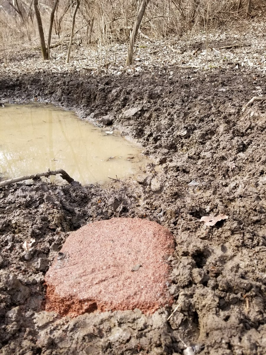 Ani_Logics's tweet photo. Have you ever seen a mineral block that looks more like a scrape? That means they want MORE! #AniBlock #BuiltForLongevity #CrazyAttraction #AniLogics #ThereIsNoOffSeason https://t.co/Xu7tqNK3Ln