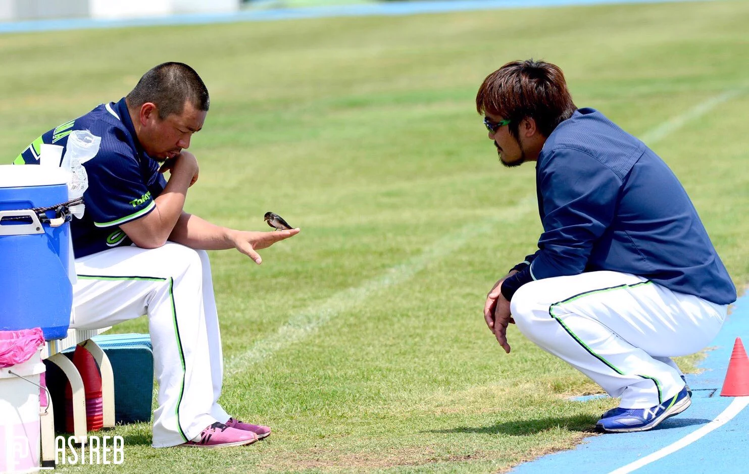 撮りたくても2度と撮れない！！心温まるスワローズの奇跡！！