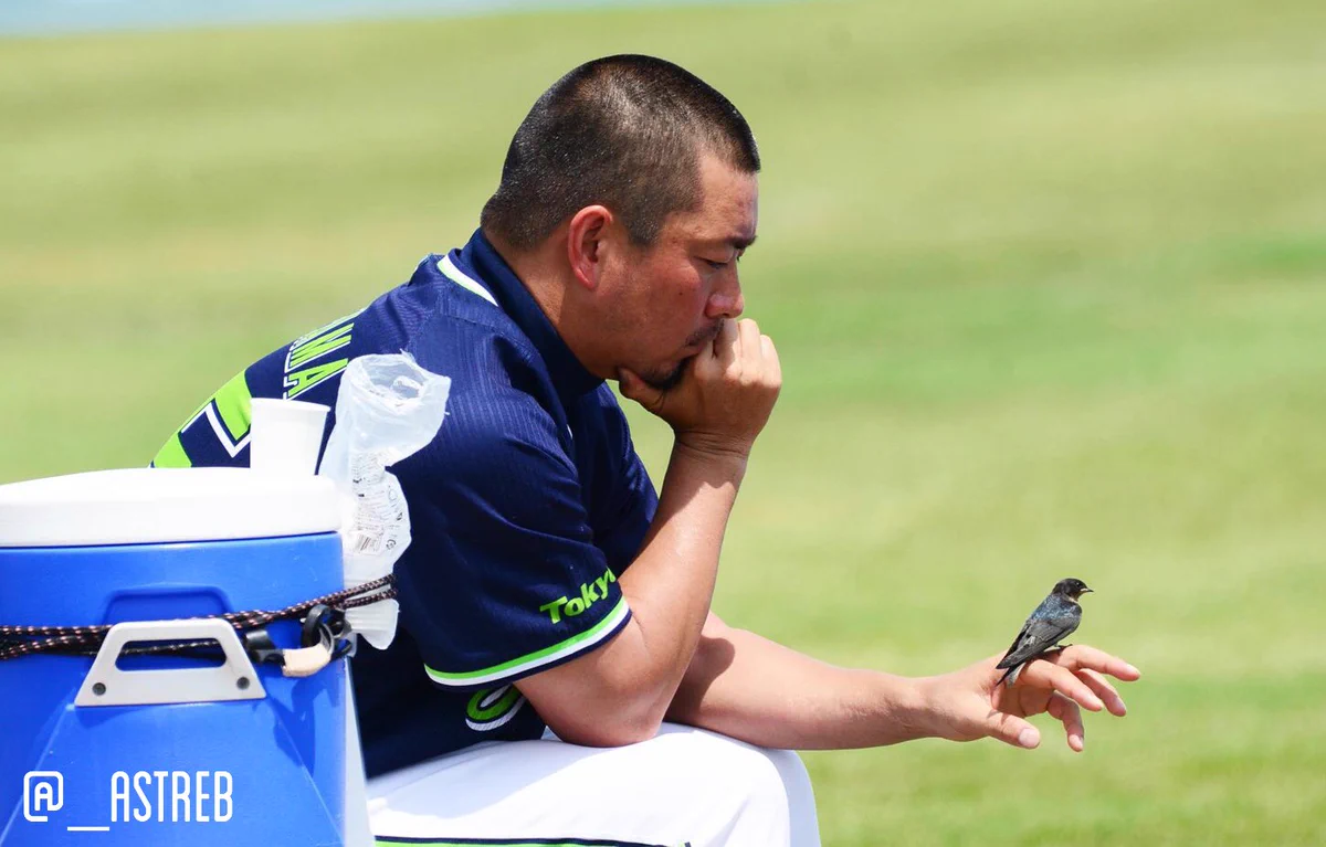 撮りたくても2度と撮れない！！心温まるスワローズの奇跡！！