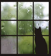 Shoni53's tweet photo. THE RAIN SONG, Jimmy Page & Robert Plant https://t.co/LXQO5VvEMa Just: *sigh* #MagicAbounds #LoveAbides ππΆπβ¨ππΉπ―π· https://t.co/KRRa6sCPR5