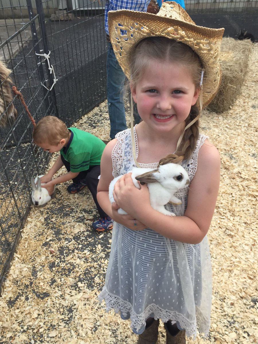 MidlandElem's tweet image. Kindergarten round-up was loads of fun! We are super excited for our new kiddos! #solutionseekers #kindergarten2018 @mustangsMSD @judypearson4 @MCathyHughes