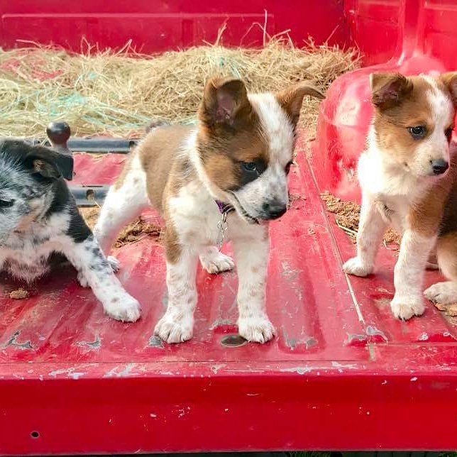 epc19111's tweet image. 