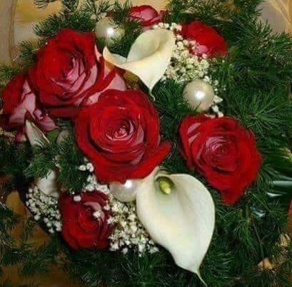 starcrystal777's tweet photo. 🌹🍀🌹🍀🌹🍀🌹🍀🌹🍀🌹🍀🌹🍀🌹🍀 @Authenticblkwid🌹🍀🌹🍀🌹🍀🌹🍀🌹🍀🌹 🍀🌹🍀🌹@CrystaL777BLue7 🍀🌹🍀🌹🍀🌹🍀🌹🍀🌹🍀#crystalhelene✨🌹🍀🌹🍀@starcrystal777🍀🌹🍀🌹🍀 #followforfollow🌹🍀🌈🌎🌹🍀🌹🍀🌹🍀🌹🍀 #ccc🌹🍀🌹🍀 #crystalTV 📺 🌹🍀🌹🍀 #f4f 🌹🍀🌹 #1DDrive 🍀🌹🍀🌹🍀 https://t.co/biNxclO2LO