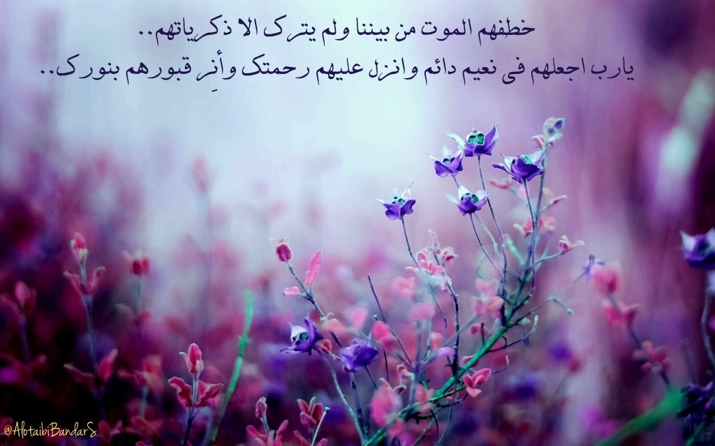 #ساعة_استجابة #الجمعه #دعاء_للاموات #يوم_الجمعه
#دعاء_للميت
خطفهم الموت من بيننا ولم يترك الا ذكرياتهم..
يارب اجعلهم في نعيم دائم وانزل عليهم رحمتك وأنِر قبورهم بنورك..💔
<a href="/misferalassaf/">صدقة جارية للمرحوم مسفر العتيبي</a> <a href="/mosem01/">صدقة جاريه للمرحوم موسم بن عساف العتيبي</a> <a href="/aishahzwairi/">صدقةعن عايشة القثامي</a> <a href="/19Munerah/">صدقة جارية للمرحومة منيره العتيبي</a> @amtiurkyy11 <a href="/haifa2322/">صدقه لـ بدرا وفيحان وهيفاء وريم العبوّد وهيا حسين</a>