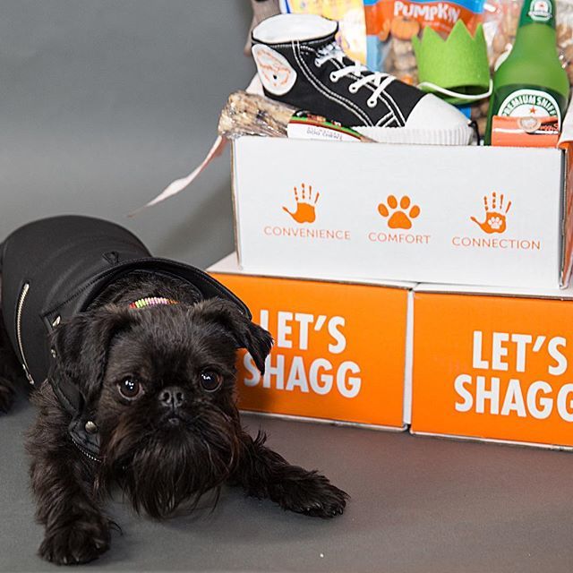 ShaggySwagBox's tweet photo. We are not worthy!
World, meet Kurt Brussel. Proud member of the #ShaggySquad and forever our beard competition champ. #shaggyswag #LETSSHAGG https://t.co/fRJyVFPooV https://t.co/v58zCT05E4