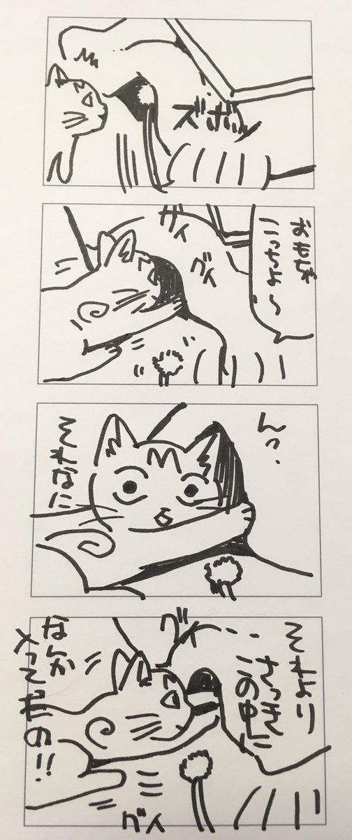 何を追いかけているのか! 