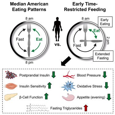 SatchinPanda's tweet image. Time-restricted eating (for 6h) improves insulin sensitivity, beta cell function, blood pressure, oxidative stress and reduces evening appetite. Results from Courtney Peterson's lab at UAB. @Cell_Metabolism 
cell.com/cell-metabolis…