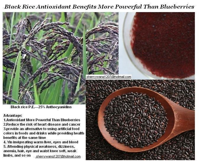 syextract's tweet photo. Not only is #black #rice the type of rice that is richest in powerful disease-fighting antioxidants, but it also contains dietary fiber, anti-inflammatory properties, and has the ability to help stop the development of diabetes, cancer, heart disease and even #weight gain.
 #Nats https://t.co/ZWLJbhXQa4
