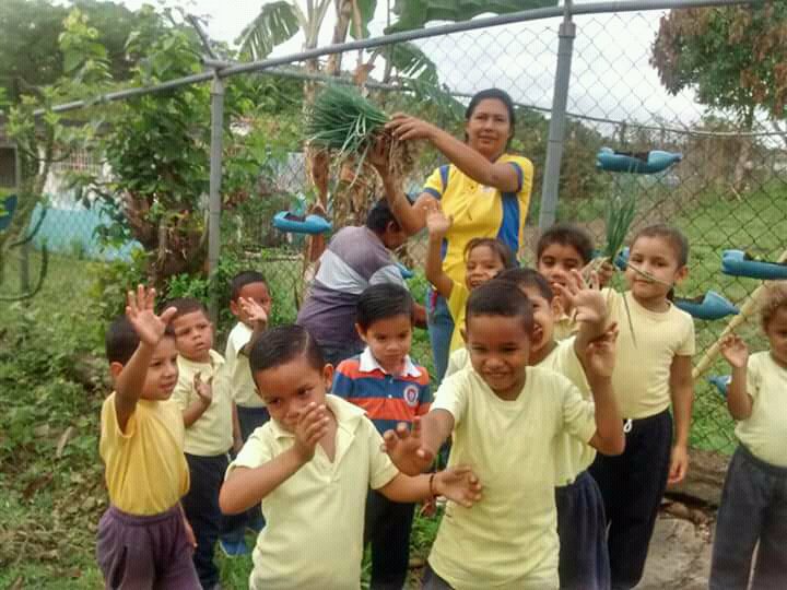 UenUpata's tweet photo. Los más pequeños de la casa felices cosechando Cebollin y entregando a las Madres de la Patria contribuyendo al Programa Alimentario Escolar. Felicidades! @JauaMiranda @sheieduc @SaIaBolivar https://t.co/mdYoX40Ts4