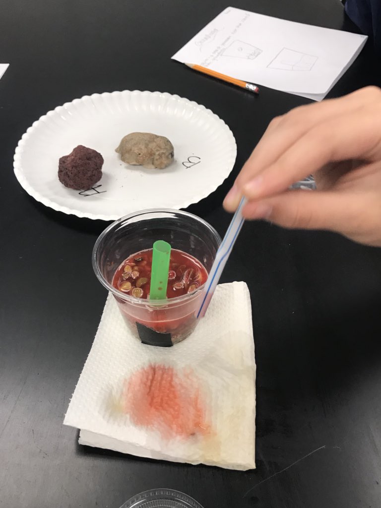 clewis_KISD's tweet photo. What were we up to today in Mrs. Lewisโs science class?! Building and exploring groundwater in Texas aquifers, thatโs what!! Another great day in 7th grade! #twolves10 #wchowlout @MelStone1971 @karneto3 @LindsayBVanWyk @charter2005 @SecScienceKISD https://t.co/lWrdPKT8g0