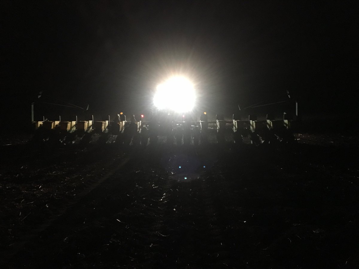 GehrkeBrandon's tweet photo. X Seed Ag channel soybean plot in the books. https://t.co/v6BNqQQQcE