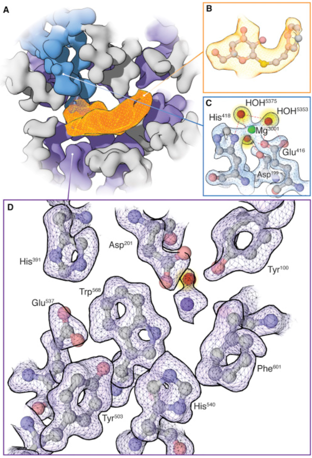 Blown away by b-Gal structure maps with '..detail seen in X-ray maps at ∼ 1.5 Å resolution'
#cryoEM #ResolutionRevolution

ow.ly/2rKH30jWqLZ
#OpenAccess