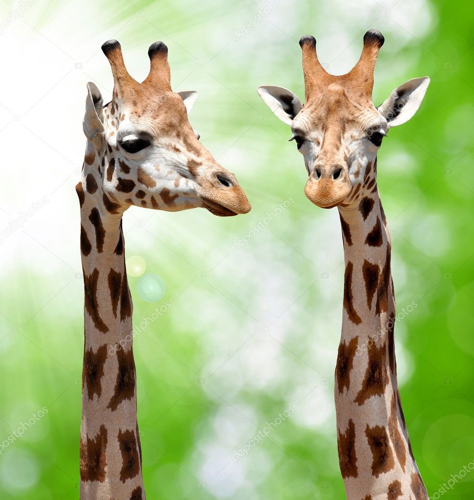 Hey <a href="/natalielsowers/">Natalie Sowers</a>, I miss you