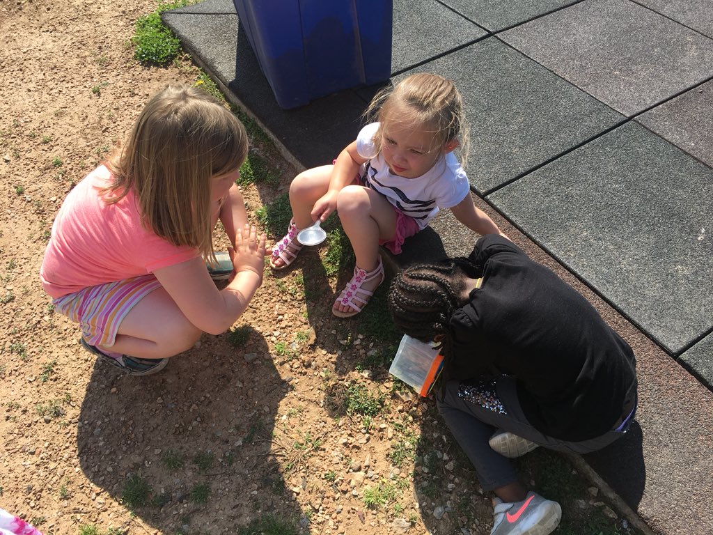 Room2RocksTRPS's tweet photo. Room 2 trying to find bugs during recess after reading the book The Very Quit Cricket!!! #TRPSbookweek2018 can’t wait to go on our nature walk to see what they can find !!!@Room2RocksTRPS #excellencebeginsTRPS https://t.co/h75qHkkwHi