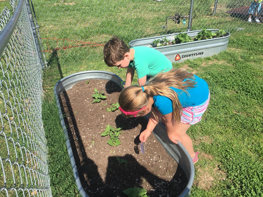 Room2RocksTRPS's tweet photo. Room 2 trying to find bugs during recess after reading the book The Very Quit Cricket!!! #TRPSbookweek2018 can’t wait to go on our nature walk to see what they can find !!!@Room2RocksTRPS #excellencebeginsTRPS https://t.co/h75qHkkwHi